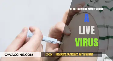 Is the MMR Vaccine a Live Virus? Facts and Safety Explained