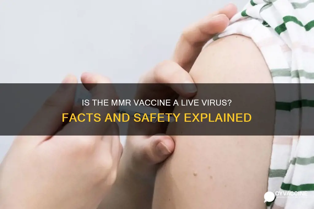 is the current mmr vaccine a live virus