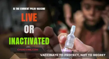 Live or Inactivated: Understanding the Current Polio Vaccine Composition