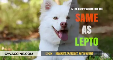 DAPP Vaccination vs. Lepto: Understanding the Key Differences
