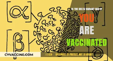 Delta Variant: Are Vaccinated Individuals Still at Risk?