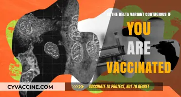 Delta Variant Contagious Post-Vaccination: What You Need to Know