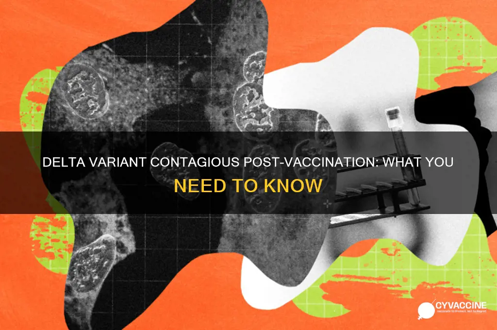 is the delta variant contagious if you are vaccinated