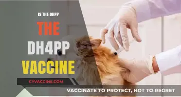 Unraveling the Confusion: DHPP vs. DH4PP Vaccine