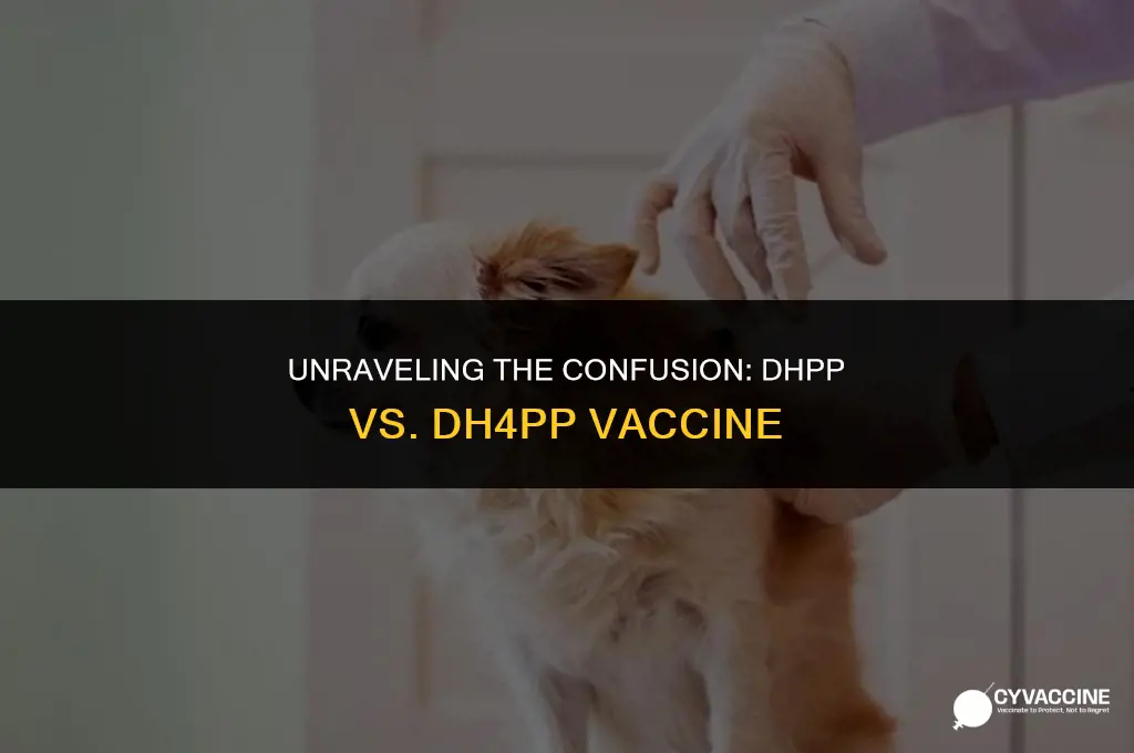 is the dhpp the dh4pp vaccine