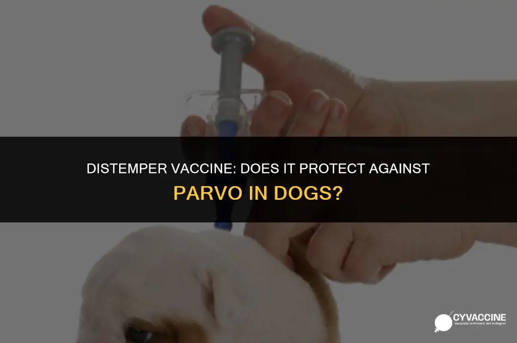 is the distemper vaccine for parvo