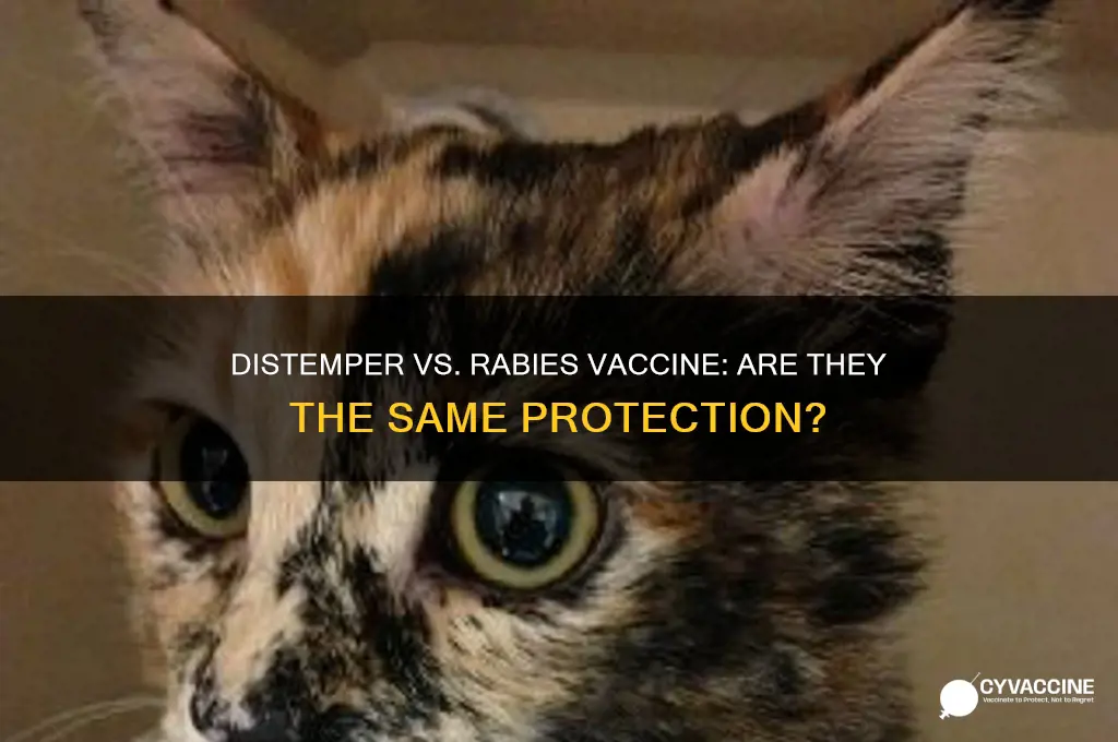 is the distemper vaccine same as rabies vaccine