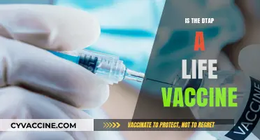 Understanding the DTaP Vaccine: Lifelong Immunity or Booster Shots?