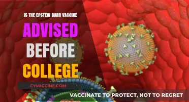 Should College-Bound Students Get the Epstein-Barr Vaccine? Expert Advice