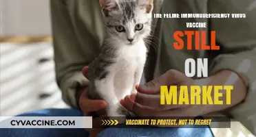 Feline Immunodeficiency Virus Vaccine: Current Availability and Market Status