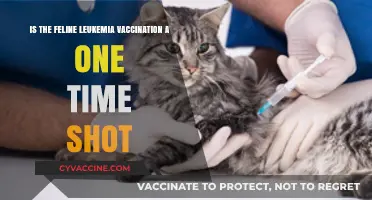 Feline Leukemia Vaccination: Is It a One-Time Shot?