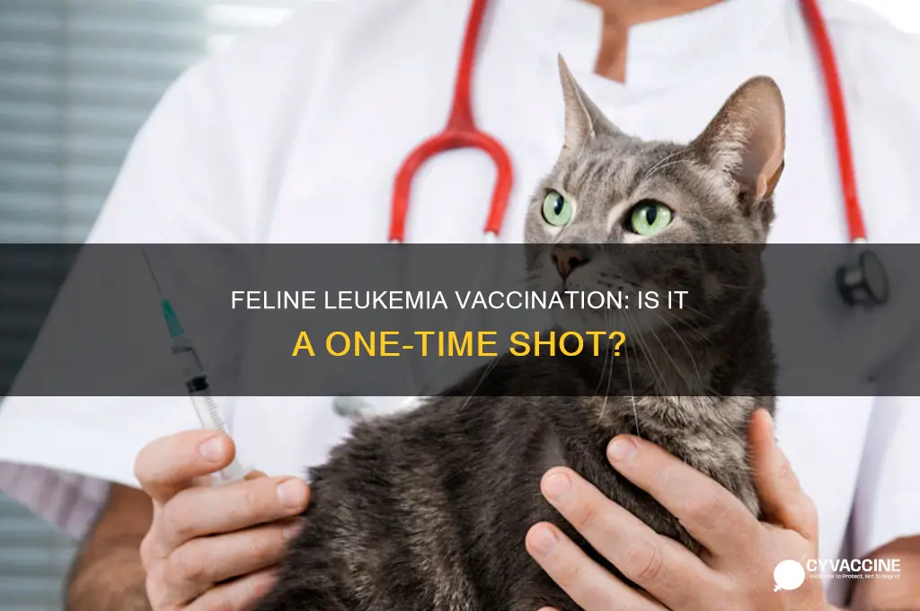 is the feline leukemia vaccination a one time shot