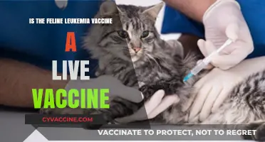 Is the Feline Leukemia Vaccine a Live Vaccine? Facts Explained