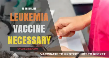 Exploring the Necessity of Feline Leukemia Vaccination: A Comprehensive Guide