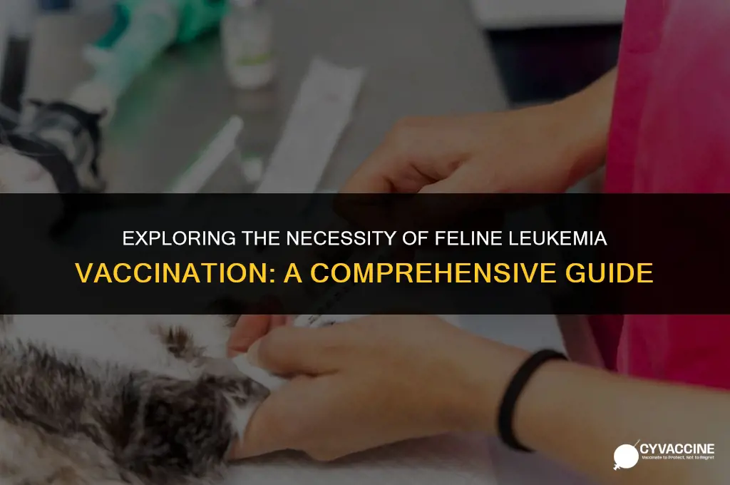 is the feline leukemia vaccine necessary