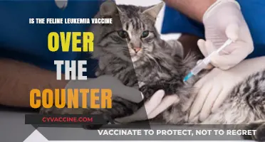 Feline Leukemia Vaccine: Over-the-Counter Availability Explained