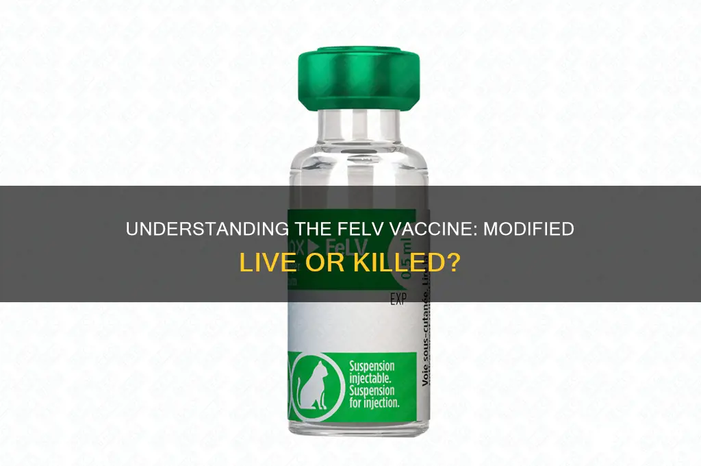 is the felv vaccine modified live or killed