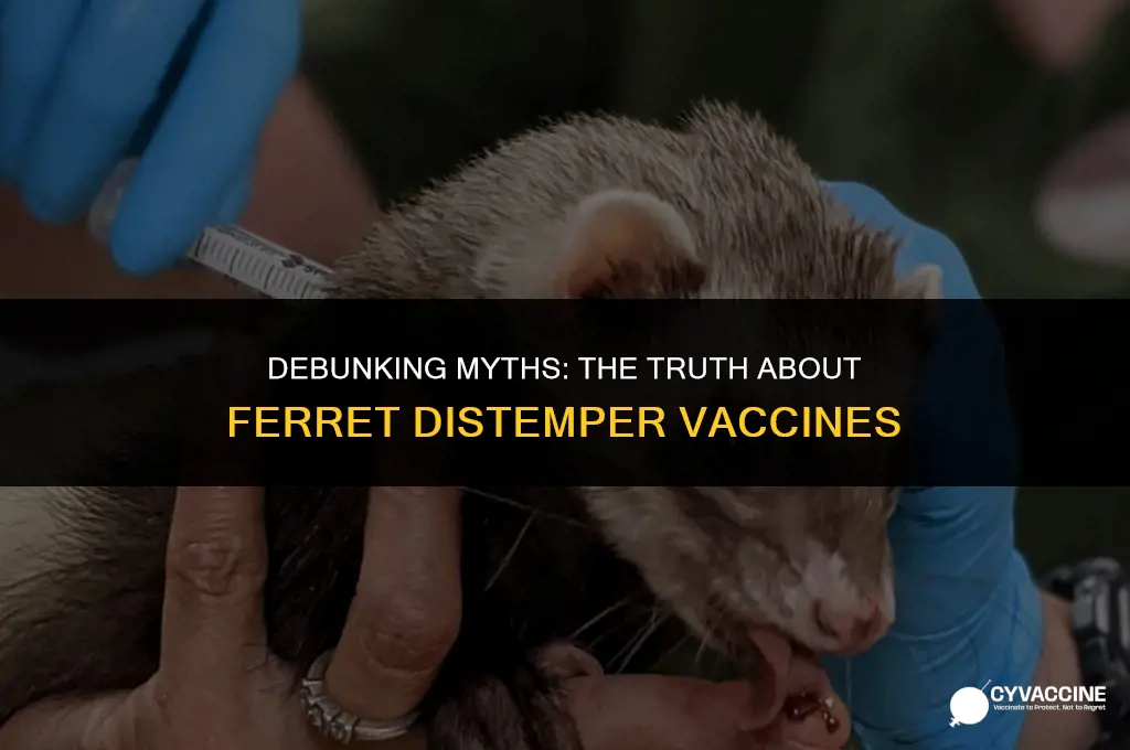 is the ferret distemper vaccine killed