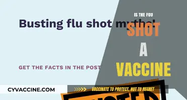 Exploring the Myths: Is the Flu Shot Really a Vaccine?