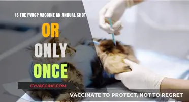 FVRCP Vaccine: Annual Booster or One-Time Shot for Cats?