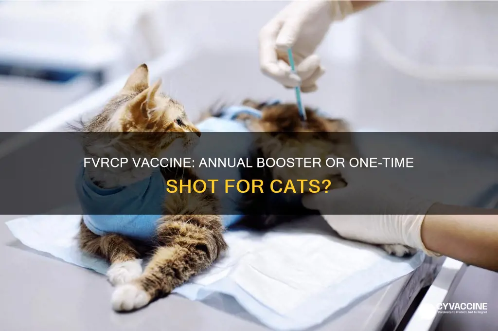 is the fvrcp vaccine an annual shot or only once
