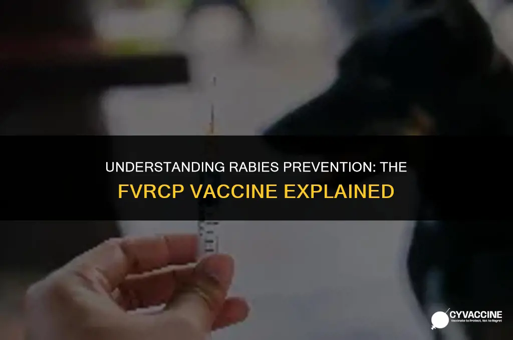 is the fvrcp vaccine for rabies