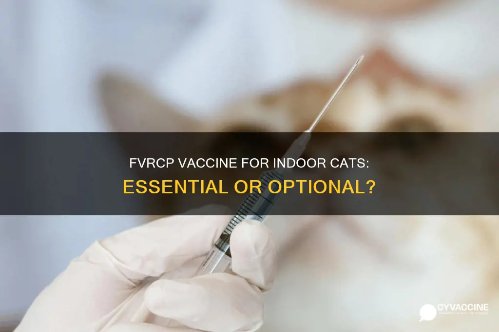 is the fvrcp vaccine necessary for indoor cats