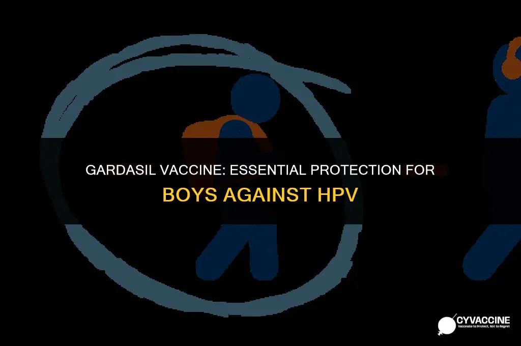is the gardisil vaccine for boys