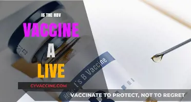 Understanding the HBV Vaccine: Is It Live or Inactivated?