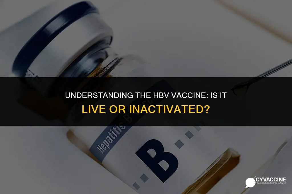 is the hbv vaccine a live