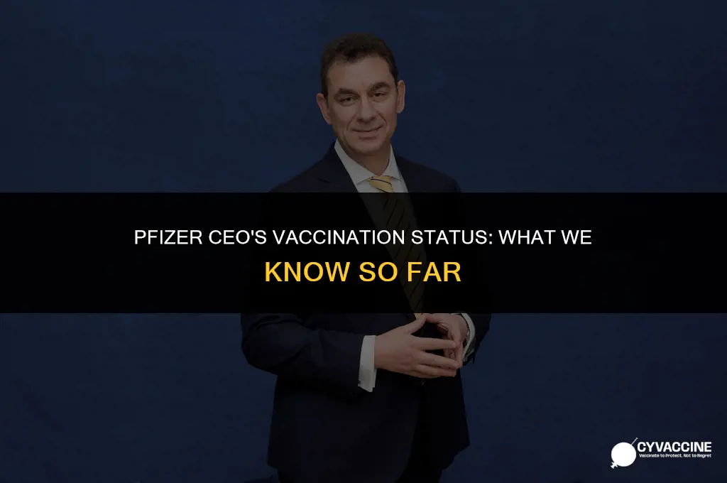 is the head of phizer vaccinated