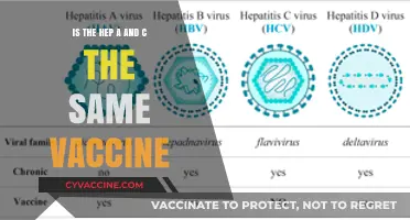 Hepatitis A vs. C Vaccines: Are They the Same or Different?