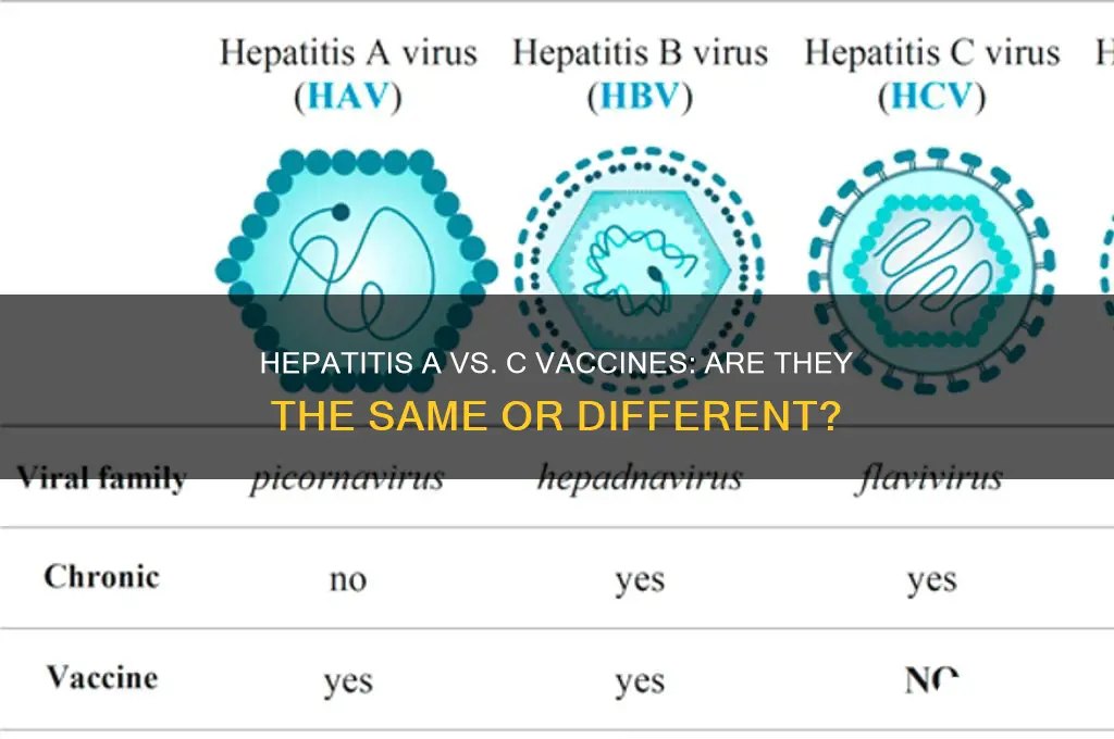 is the hep a and c the same vaccine