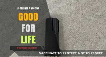 Hep A Vaccine: Lifetime Protection or Booster Needed?