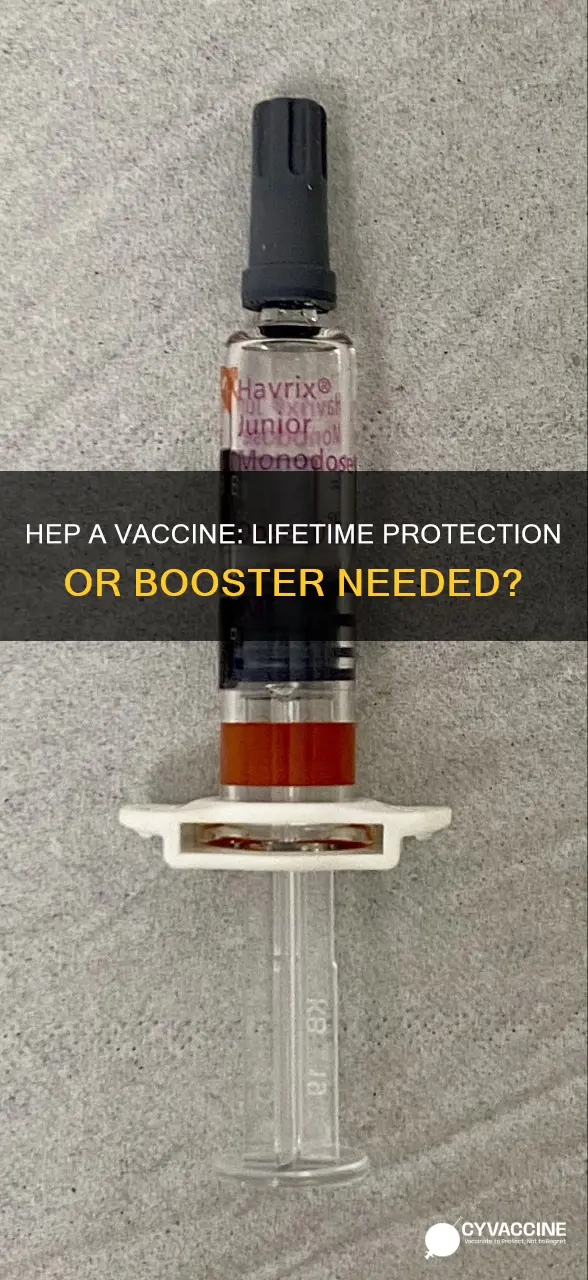 is the hep a vaccine good for life