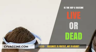 Hepatitis A Vaccine: Live or Dead? Understanding Its Composition