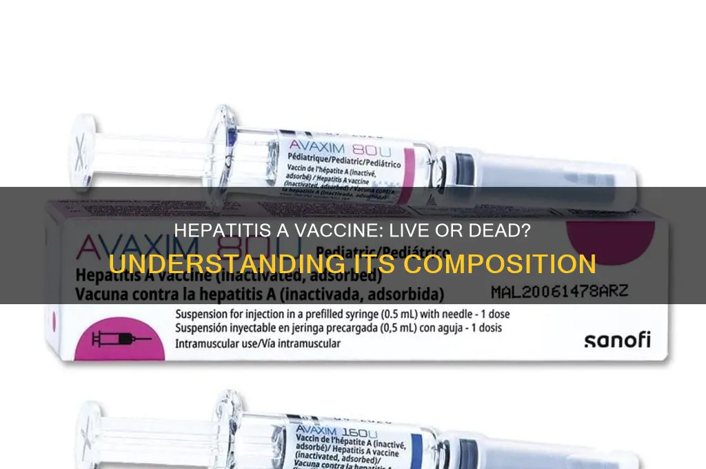 is the hep a vaccine live or dead