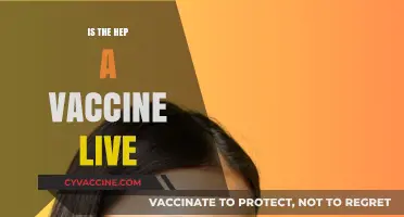 Is the Hep A Vaccine Live? Understanding Its Composition and Safety