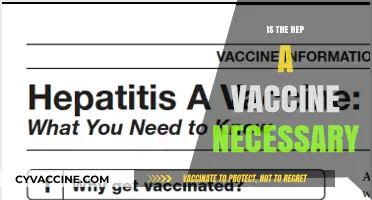 Is the Hepatitis A Vaccine Necessary? Exploring Risks and Benefits