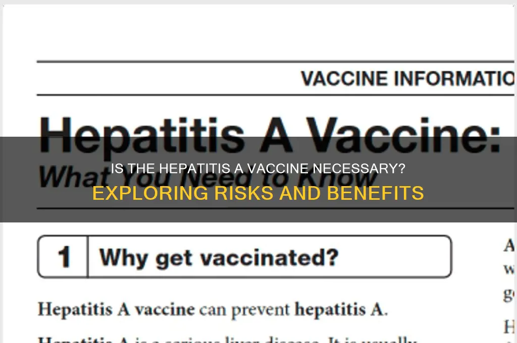 is the hep a vaccine necessary