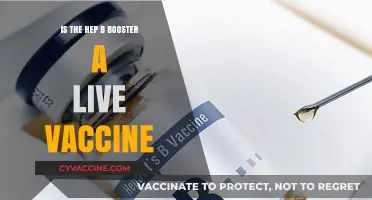Is the Hep B Booster a Live Vaccine? Facts Explained