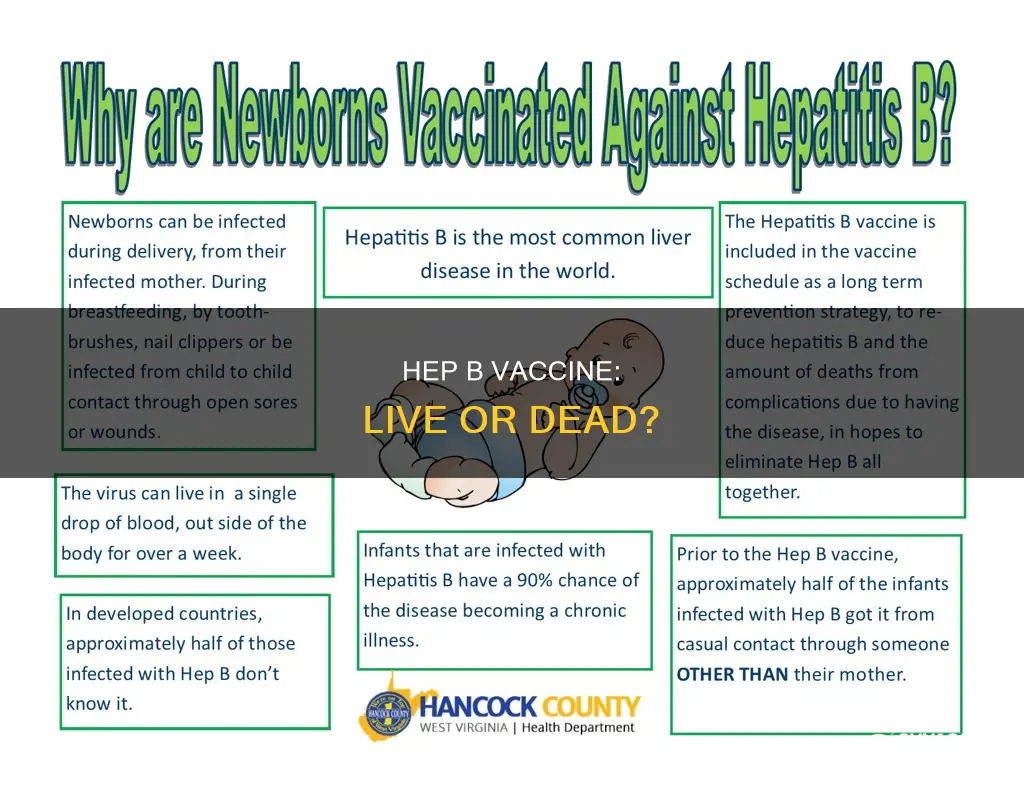 is the hep b vaccine a live vaccine
