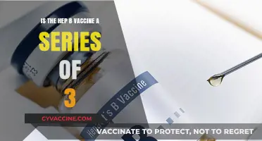 Hepatitis B Vaccine: Understanding the 3-Dose Series and Its Importance