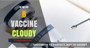 Exploring the Clarity: Is the Hepatitis B Vaccine Cloudy?