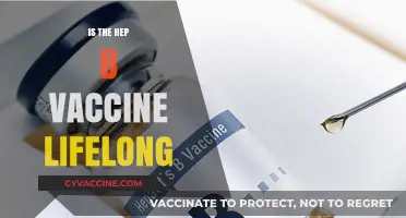 Hepatitis B Vaccine: Lifelong Immunity or Periodic Booster Shots?