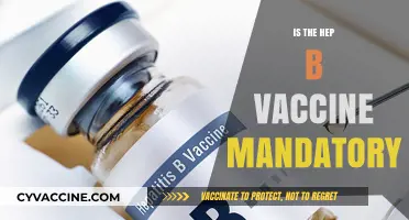 Exploring Hepatitis B Vaccine Mandates: A Comprehensive Guide