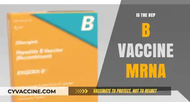 Exploring the Hepatitis B Vaccine: mRNA Technology and Its Benefits