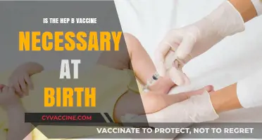 Is the Hep B Vaccine at Birth Essential for Newborns?