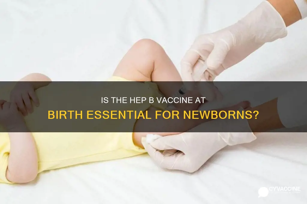 is the hep b vaccine necessary at birth