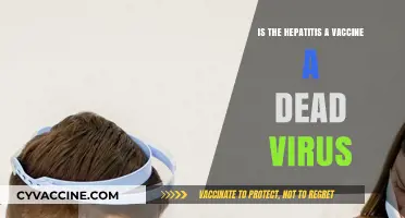 Is the Hepatitis A Vaccine a Dead Virus? Facts Explained